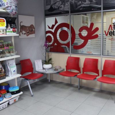 Consulta veterinaria Castellón