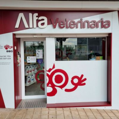 Consulta veterinaria en Castellón