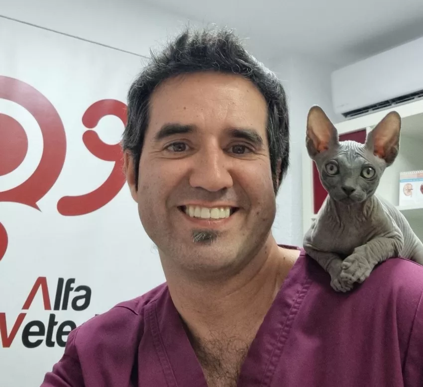 Clínica amable con los gatos Clínica amable con los gatos