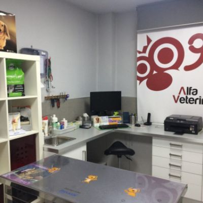 Interior de la tienda de clínica veterinaria