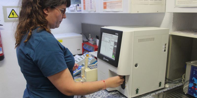 Análisis en clínicas veterinarias Análisis en clínicas veterinarias
