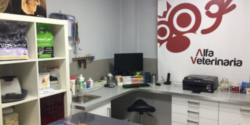 Interior de la tienda de clínica veterinaria Interior de la tienda de clínica veterinaria