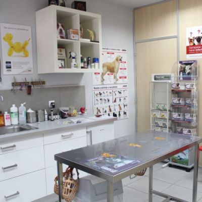 Consulta veterinaria Castellón