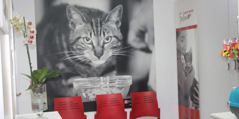 Sala de espera con sillas rojas Sala de espera con sillas rojas