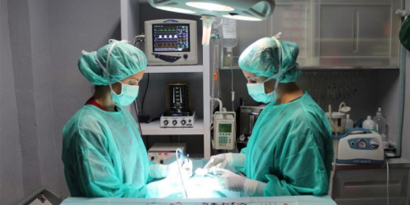 Veterinarios operando a una mascota Veterinarios operando a una mascota