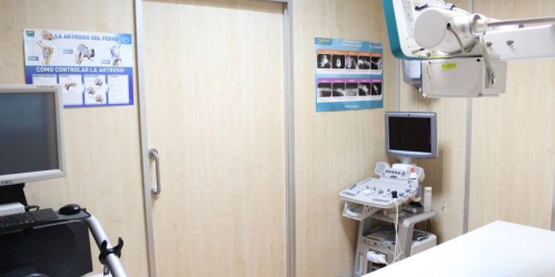 Sala de consulta veterinaria Sala de consulta veterinaria