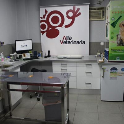 Consulta veterinaria en Castellón