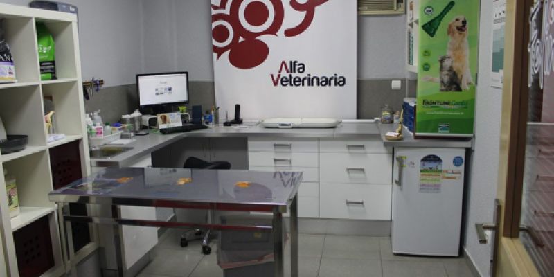 Consulta veterinaria en Castellón