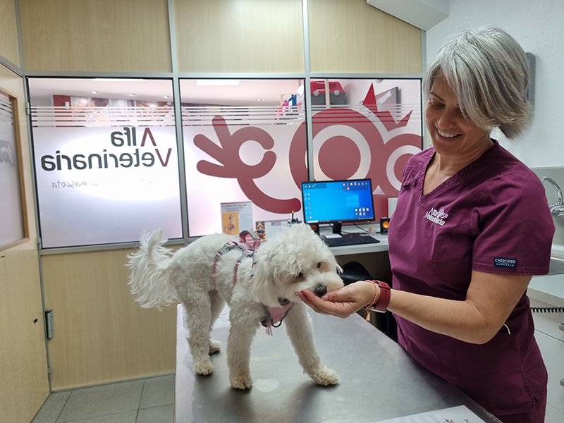 Planes de salud Planes de salud