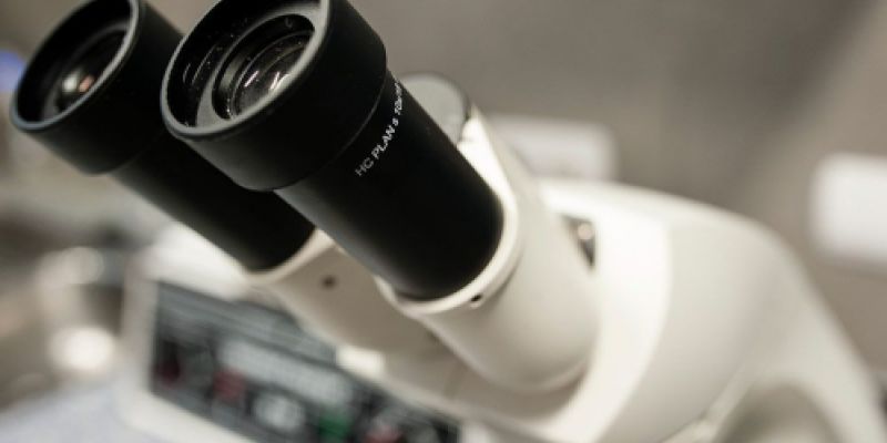 Veterinaria Castellón Veterinaria Castellón