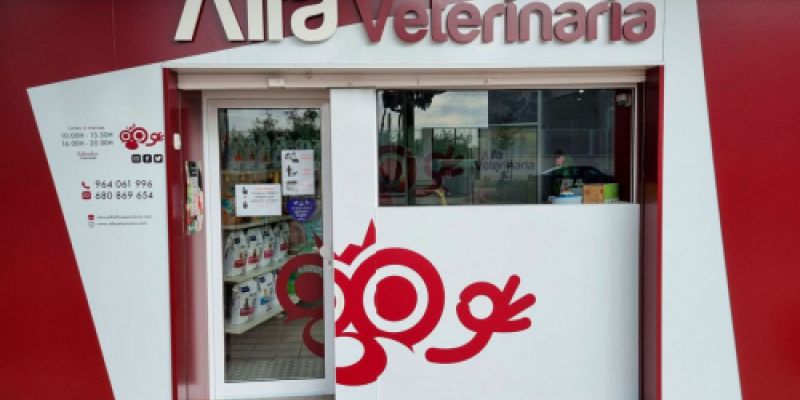 Consulta veterinaria en Castellón