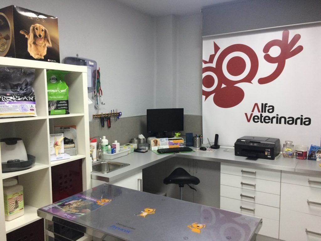 Interior de la tienda de clínica veterinaria