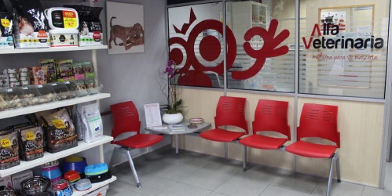 Consulta veterinaria Castellón