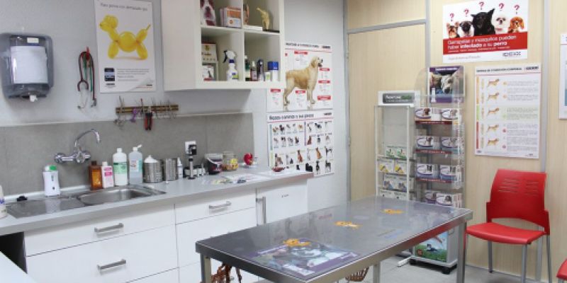 Consulta veterinaria Castellón