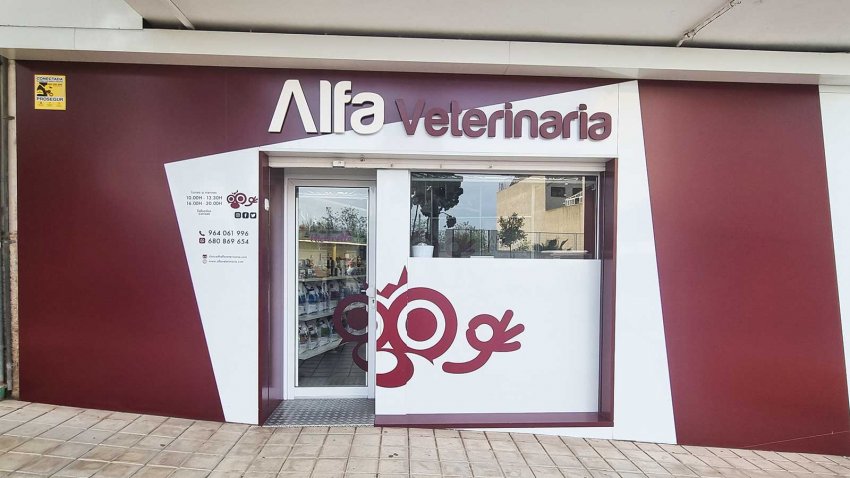 clinica veterinaria castellon